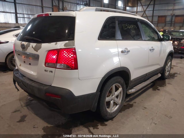 2011 Kia Sorento Ex მანქანა იყიდება აუქციონზე, vin: 5XYKU3A27BG069053, აუქციონის ნომერი: 12564733