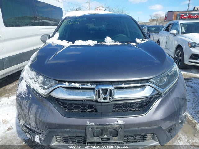 Продаж на аукціоні авто 2019 Honda Cr-v Lx, vin: 2HKRW2H28KH116849, номер лоту: 12564751