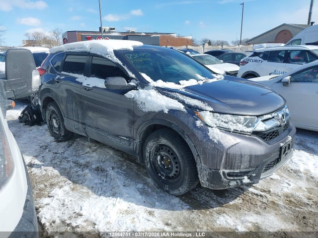 Продаж на аукціоні авто 2019 Honda Cr-v Lx, vin: 2HKRW2H28KH116849, номер лоту: 12564751