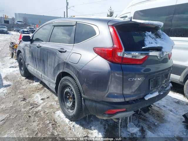 Продаж на аукціоні авто 2019 Honda Cr-v Lx, vin: 2HKRW2H28KH116849, номер лоту: 12564751