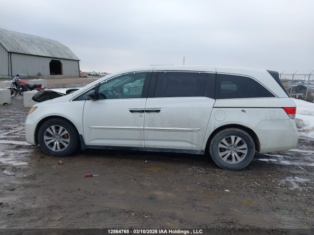 12564768 :رقم المزاد ، 5FNRL5H30EB505376 vin ، 2014 Honda Odyssey Se مزاد بيع