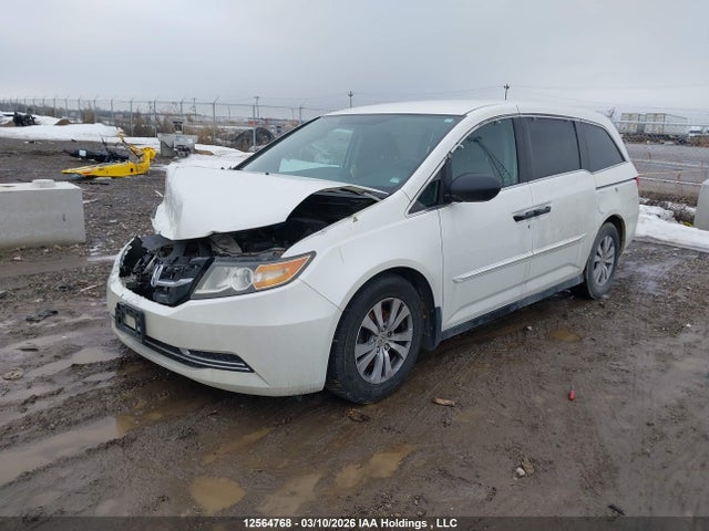 12564768 :رقم المزاد ، 5FNRL5H30EB505376 vin ، 2014 Honda Odyssey Se مزاد بيع