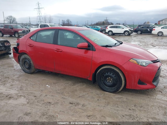 12564870 :رقم المزاد ، 2T1BURHE2KC247143 vin ، 2019 Toyota Corolla مزاد بيع