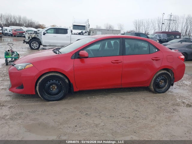 12564870 :رقم المزاد ، 2T1BURHE2KC247143 vin ، 2019 Toyota Corolla مزاد بيع