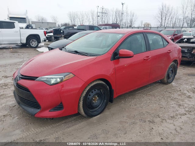 12564870 :رقم المزاد ، 2T1BURHE2KC247143 vin ، 2019 Toyota Corolla مزاد بيع