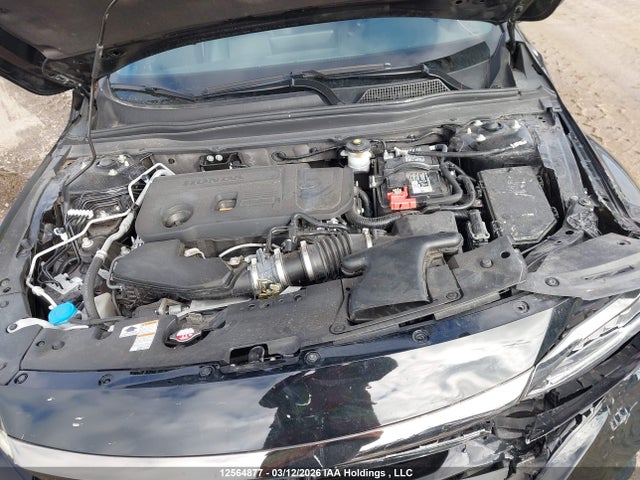 12564877 :رقم المزاد ، 1HGCV2F39NA800438 vin ، 2022 Honda Accord Sport 2.0t مزاد بيع