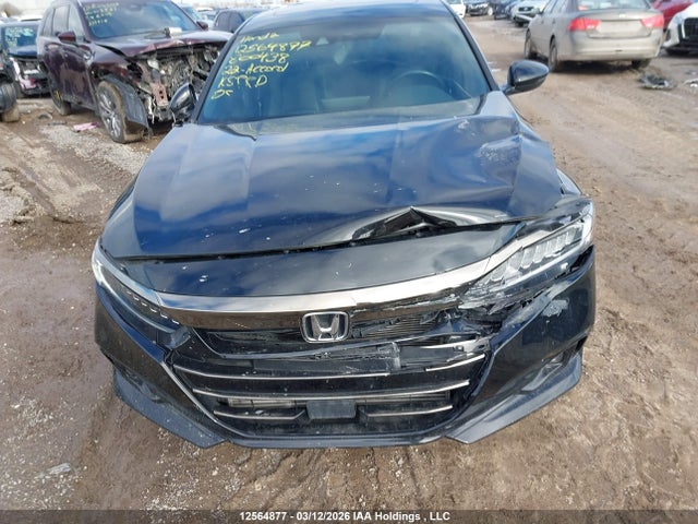 12564877 :رقم المزاد ، 1HGCV2F39NA800438 vin ، 2022 Honda Accord Sport 2.0t مزاد بيع