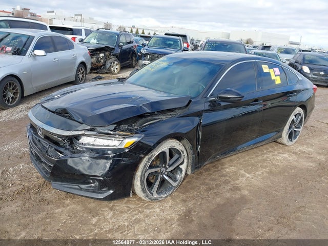 12564877 :رقم المزاد ، 1HGCV2F39NA800438 vin ، 2022 Honda Accord Sport 2.0t مزاد بيع
