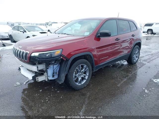 Продаж на аукціоні авто 2021 Jeep Cherokee Sport, vin: 1C4PJMAX4MD117321, номер лоту: 12564929