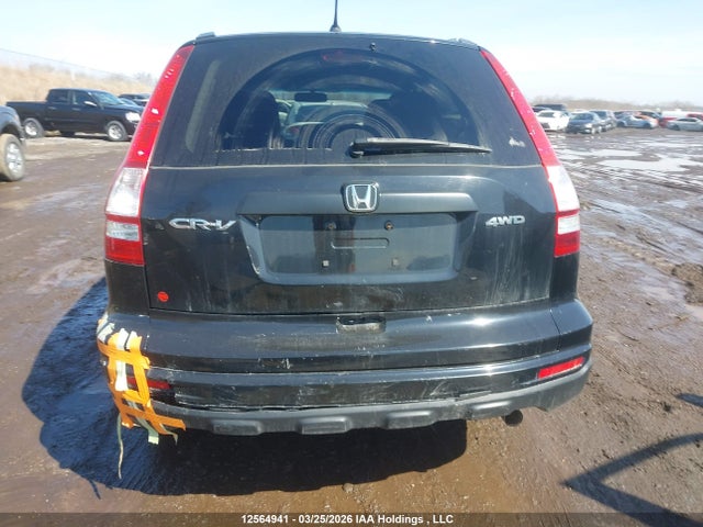 12564941 :رقم المزاد ، 5J6RE4H36BL818780 vin ، 2011 Honda Cr-v مزاد بيع