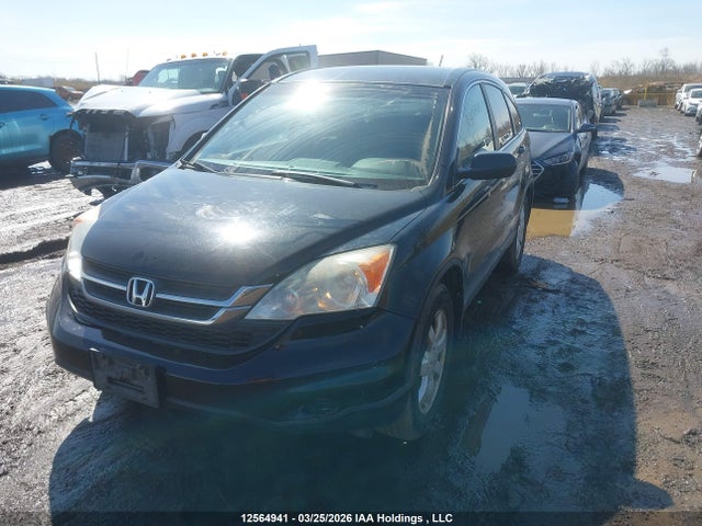 12564941 :رقم المزاد ، 5J6RE4H36BL818780 vin ، 2011 Honda Cr-v مزاد بيع