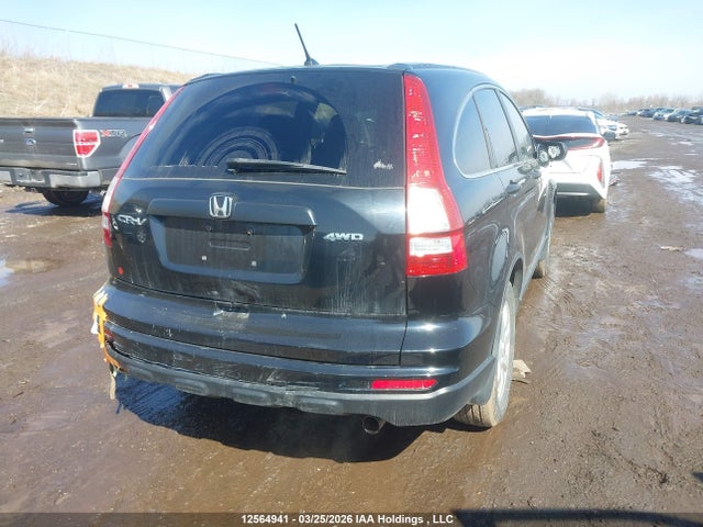 12564941 :رقم المزاد ، 5J6RE4H36BL818780 vin ، 2011 Honda Cr-v مزاد بيع