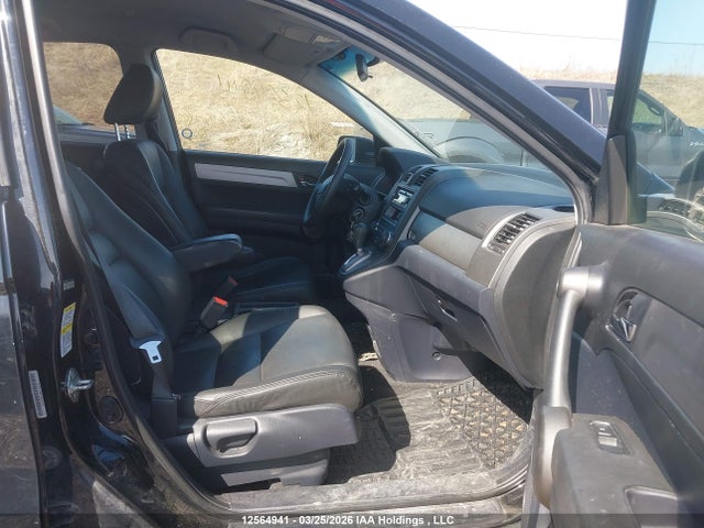 12564941 :رقم المزاد ، 5J6RE4H36BL818780 vin ، 2011 Honda Cr-v مزاد بيع