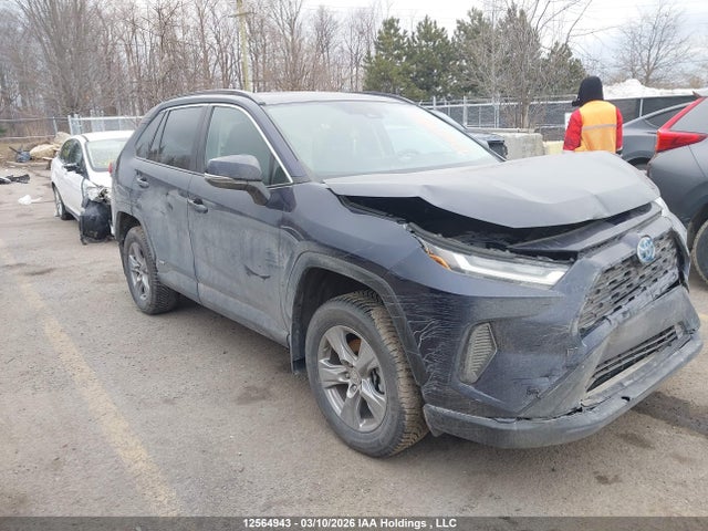 12564943 :رقم المزاد ، 2T3RWRFVXRW239738 vin ، 2024 Toyota Rav4 Hybrid Xle مزاد بيع