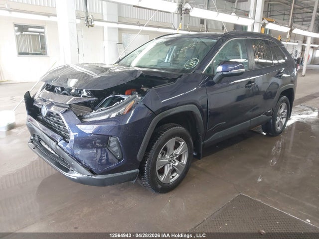 12564943 :رقم المزاد ، 2T3RWRFVXRW239738 vin ، 2024 Toyota Rav4 Hybrid Xle مزاد بيع