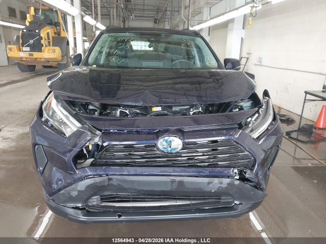 12564943 :رقم المزاد ، 2T3RWRFVXRW239738 vin ، 2024 Toyota Rav4 Hybrid Xle مزاد بيع