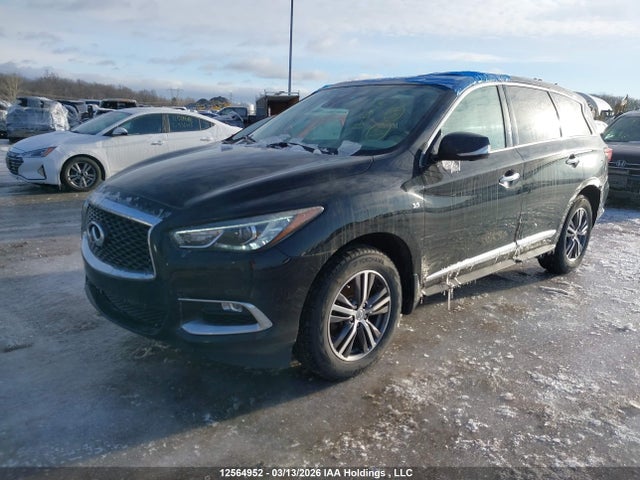 5N1DL0MM8KC530333 Infiniti Qx60 Luxe/pure