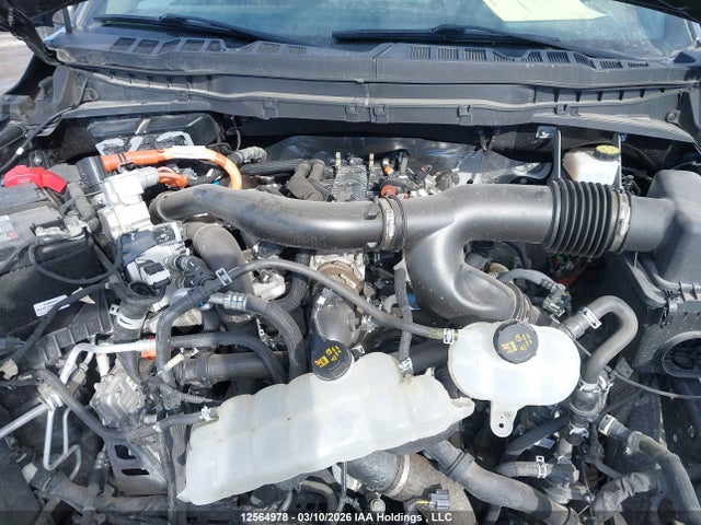 Ford F-Series 2024 1FTFW7LD2RFA27940 Image 10