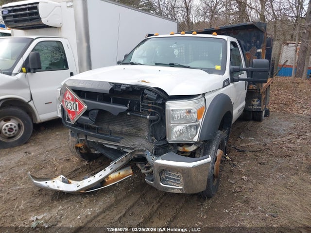 Aukcja sprzedaży 2015 Ford F-550 Chassis Xl, vin: 1FDUF5GT2FED00773, numer aukcji: 12565079