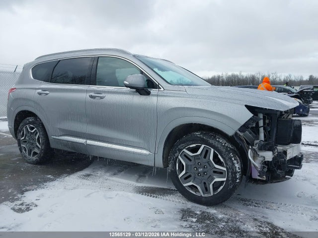 Продажа на аукционе авто 2021 Hyundai Santa Fe Ultimate Calligraphy, vin: 5NMS5DAL6MH345291, номер лота: 12565129