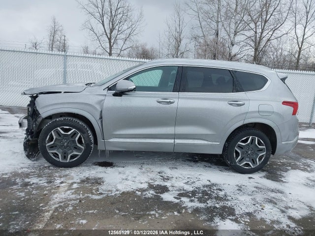 Продажа на аукционе авто 2021 Hyundai Santa Fe Ultimate Calligraphy, vin: 5NMS5DAL6MH345291, номер лота: 12565129