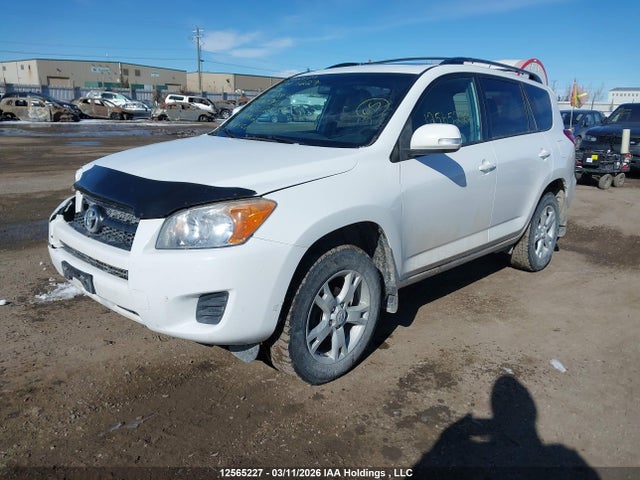 12565227 :رقم المزاد ، 2T3BF4DV2CW260954 vin ، 2012 Toyota Rav4 مزاد بيع