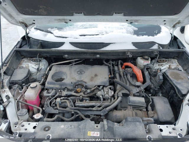 2T3RWRFV1PW171732 Toyota Rav4 Xle/woodland Edition