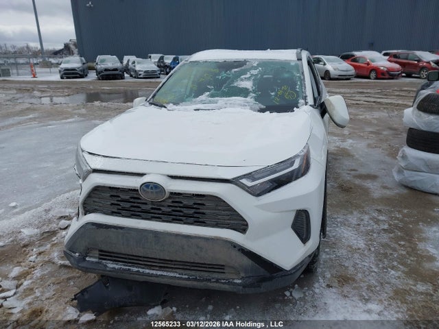 2T3RWRFV1PW171732 Toyota Rav4 Xle/woodland Edition