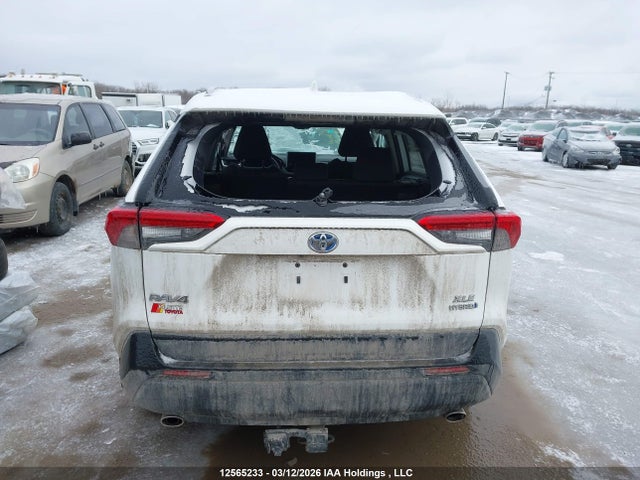 2T3RWRFV1PW171732 Toyota Rav4 Xle/woodland Edition