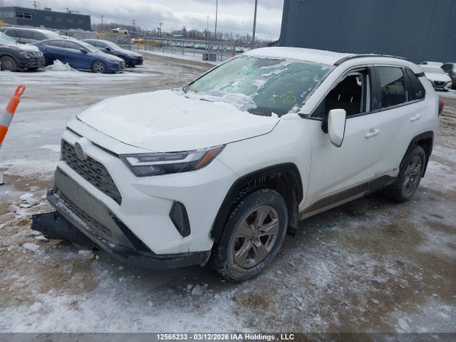 2T3RWRFV1PW171732 Toyota Rav4 Xle/woodland Edition