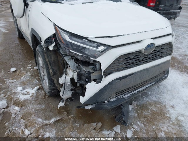 2T3RWRFV1PW171732 Toyota Rav4 Xle/woodland Edition