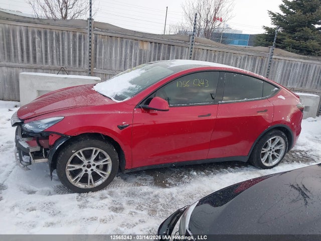 Aukcja sprzedaży 2021 Tesla Model Y Long Range, vin: 5YJYGDEE6MF076419, numer aukcji: 12565243
