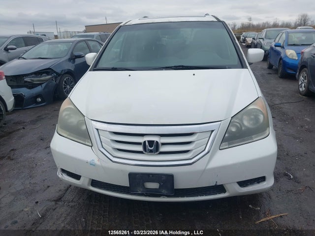 2008 Honda Odyssey Exl მანქანა იყიდება აუქციონზე, vin: 5FNRL38698B504245, აუქციონის ნომერი: 12565261