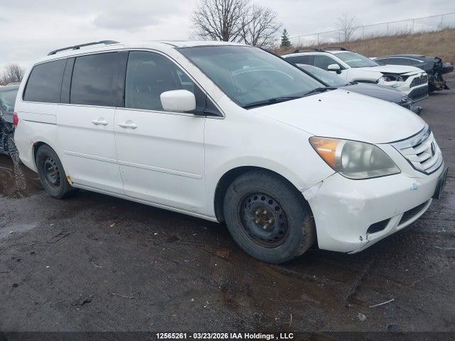 2008 Honda Odyssey Exl მანქანა იყიდება აუქციონზე, vin: 5FNRL38698B504245, აუქციონის ნომერი: 12565261