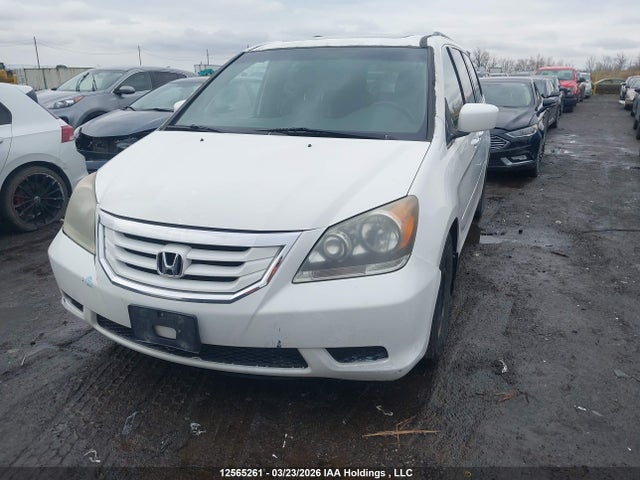2008 Honda Odyssey Exl მანქანა იყიდება აუქციონზე, vin: 5FNRL38698B504245, აუქციონის ნომერი: 12565261
