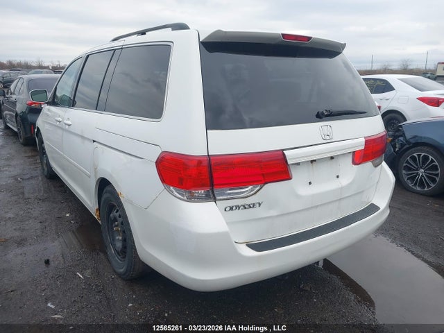 2008 Honda Odyssey Exl მანქანა იყიდება აუქციონზე, vin: 5FNRL38698B504245, აუქციონის ნომერი: 12565261