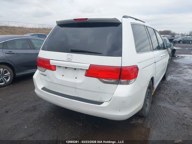 2008 Honda Odyssey Exl მანქანა იყიდება აუქციონზე, vin: 5FNRL38698B504245, აუქციონის ნომერი: 12565261