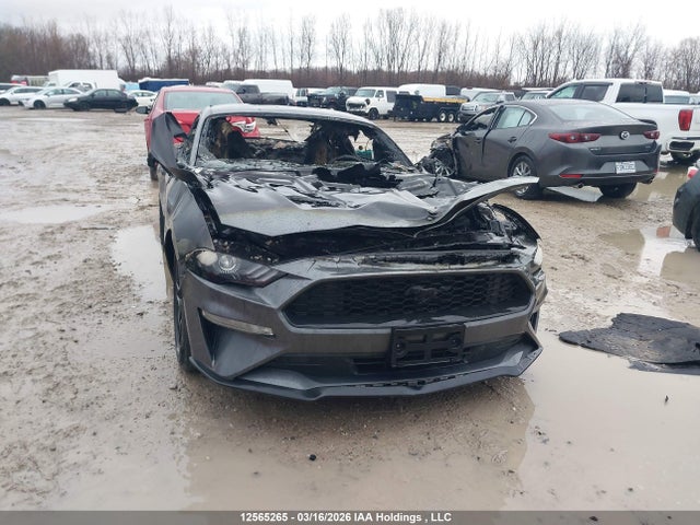 Продаж на аукціоні авто 2021 Ford Mustang Ecoboost, vin: 1FA6P8TH0M5130185, номер лоту: 12565265