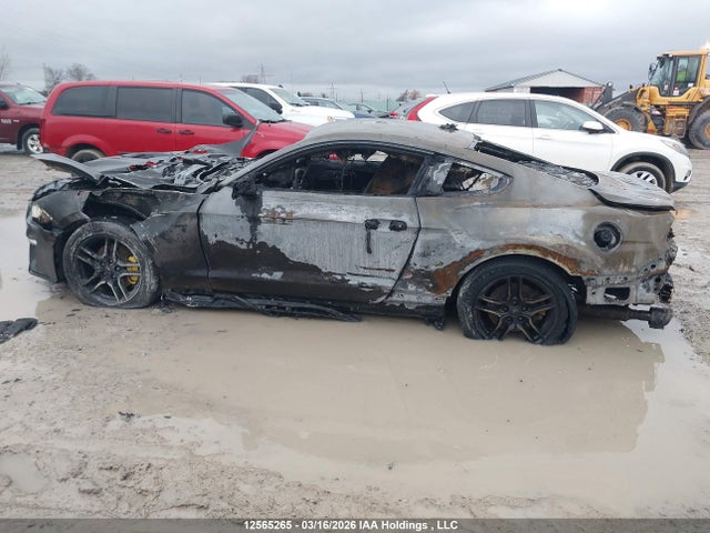Продаж на аукціоні авто 2021 Ford Mustang Ecoboost, vin: 1FA6P8TH0M5130185, номер лоту: 12565265