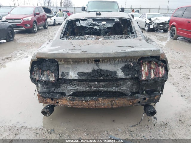 Продаж на аукціоні авто 2021 Ford Mustang Ecoboost, vin: 1FA6P8TH0M5130185, номер лоту: 12565265