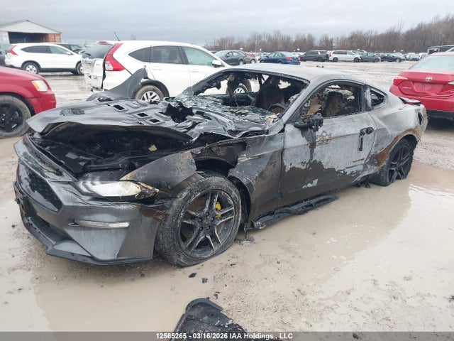 Продаж на аукціоні авто 2021 Ford Mustang Ecoboost, vin: 1FA6P8TH0M5130185, номер лоту: 12565265