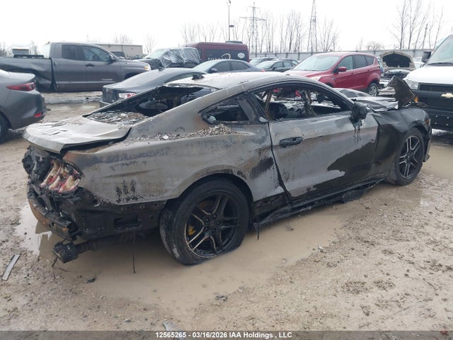 Продаж на аукціоні авто 2021 Ford Mustang Ecoboost, vin: 1FA6P8TH0M5130185, номер лоту: 12565265
