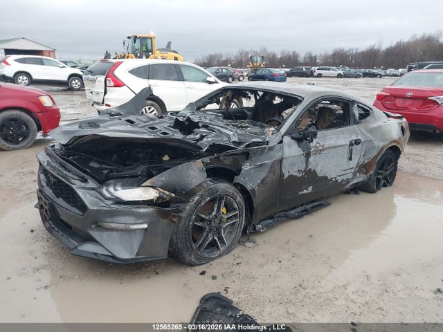 Продаж на аукціоні авто 2021 Ford Mustang Ecoboost, vin: 1FA6P8TH0M5130185, номер лоту: 12565265