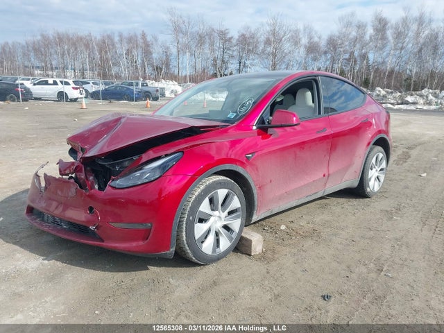 Продажа на аукционе авто 2024 Tesla Model Y, vin: 7SAYGDEE3RF081068, номер лота: 12565308