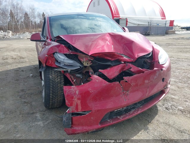Продажа на аукционе авто 2024 Tesla Model Y, vin: 7SAYGDEE3RF081068, номер лота: 12565308