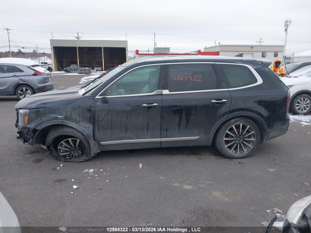 12565322 :رقم المزاد ، 5XYP5DGC9PG395632 vin ، 2023 Kia Telluride Sx/sx Limited/x-line/x-pro مزاد بيع