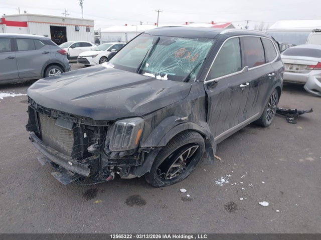 12565322 :رقم المزاد ، 5XYP5DGC9PG395632 vin ، 2023 Kia Telluride Sx/sx Limited/x-line/x-pro مزاد بيع