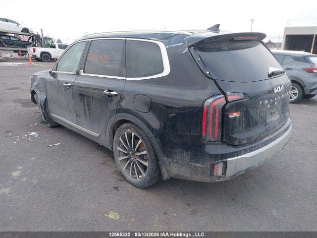 12565322 :رقم المزاد ، 5XYP5DGC9PG395632 vin ، 2023 Kia Telluride Sx/sx Limited/x-line/x-pro مزاد بيع