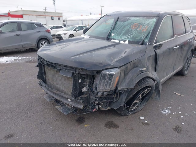 12565322 :رقم المزاد ، 5XYP5DGC9PG395632 vin ، 2023 Kia Telluride Sx/sx Limited/x-line/x-pro مزاد بيع