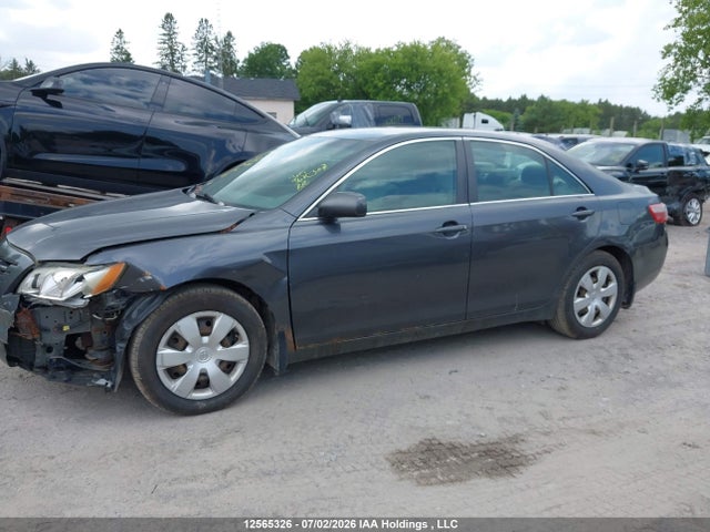 2009 Toyota Camry Se/le/xle მანქანა იყიდება აუქციონზე, vin: 4T1BE46K69U388332, აუქციონის ნომერი: 12565326